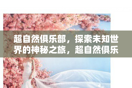 探索未知世界的神秘之旅图片
