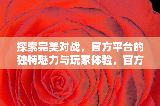 官方平台的独特魅力与玩家体验图片
