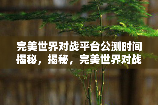 完美世界对战平台公测时间揭秘图片