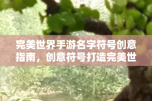 完美世界手游名字符号创意指南图片