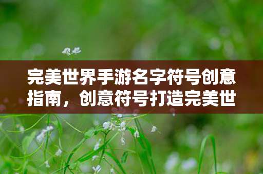 完美世界手游名字符号创意指南图片