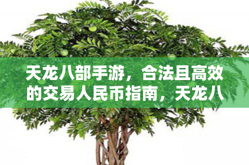 合法且高效的交易人民币指南图片