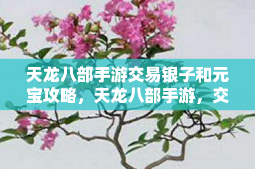 天龙八部手游交易银子和元宝攻略图片