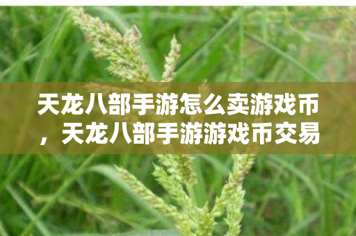 天龙八部手游游戏币交易攻略图片