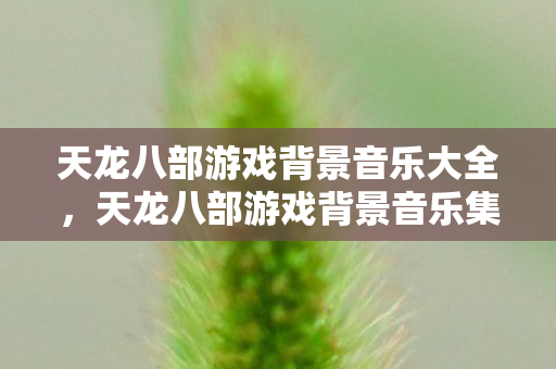 天龙八部游戏背景音乐大全图片