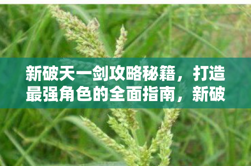 打造最强角色的全面攻略秘籍图片