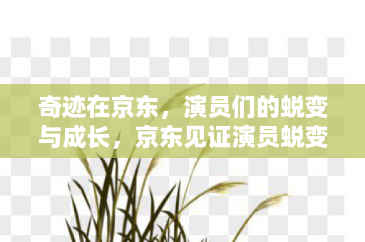 京东见证演员蜕变与成长奇迹图片