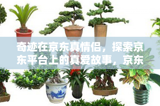 探索京东平台上的真爱故事图片