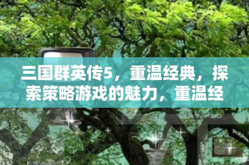 三国群英传5，重温经典，探索策略游戏的魅力，重温经典策略游戏，三国群英传5的魅力探索