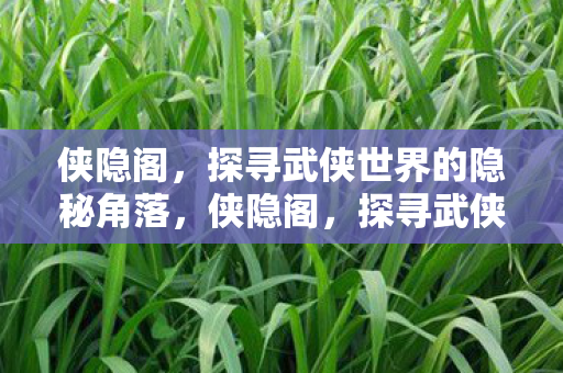 侠隐阁,探寻武侠世界的隐秘角落,侠隐阁,探寻武侠世界的隐秘角落 侠隐阁,探寻武侠世界的隐秘角落,侠隐阁,探寻武侠世界的隐秘角落