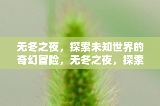 无冬之夜,探索未知世界的奇幻冒险,无冬之夜,探索未知世界的奇幻冒险之旅 无冬之夜,探索未知世界的奇幻冒险,无冬之夜,探索未知世界的奇幻冒险之旅