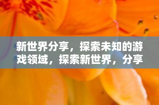 分享游戏领域的未知之旅图片