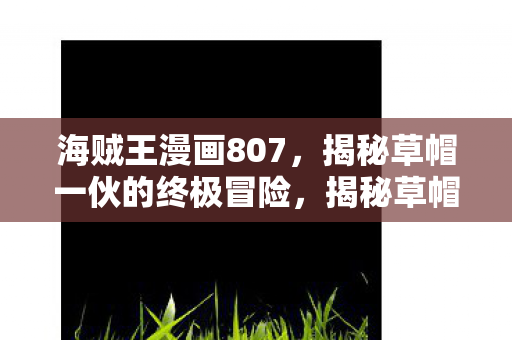 海贼王漫画807剧情解析图片