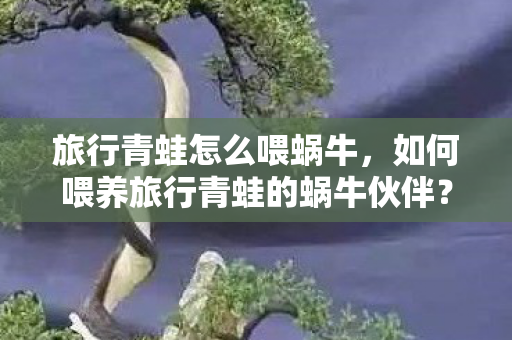 如何喂养旅行青蛙的蜗牛伙伴图片