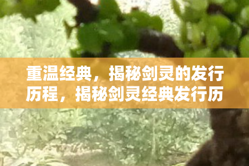揭秘剑灵经典发行历程图片