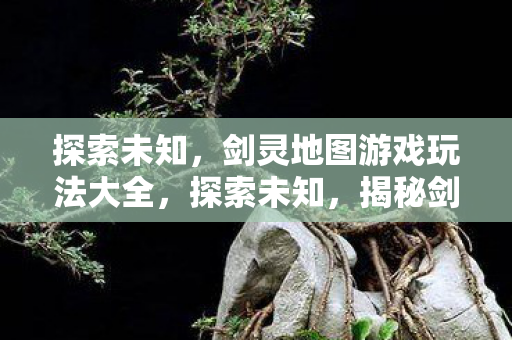 剑灵地图游戏玩法大全图片
