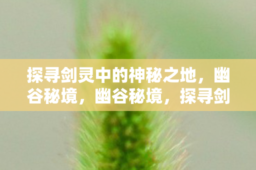 探寻剑灵中的神秘之地图片