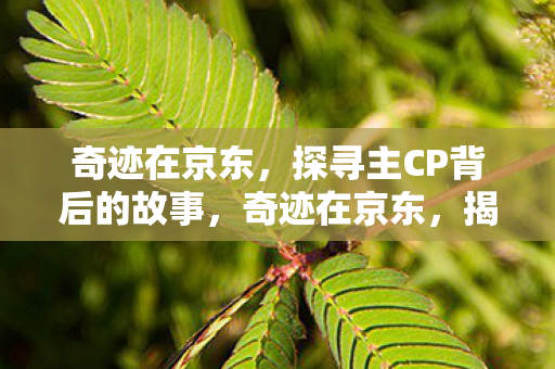 探寻主CP背后的故事图片
