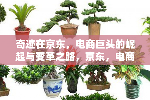 电商巨头的崛起与变革之路图片