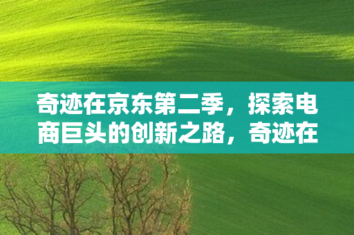 探索电商巨头的创新之路图片