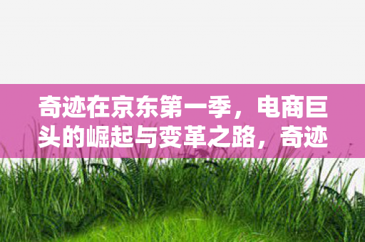 电商巨头的崛起与变革之路图片