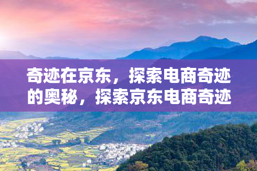 探索京东电商奇迹的奥秘图片