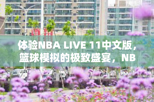 体验NBA LIVE 11中文版图片