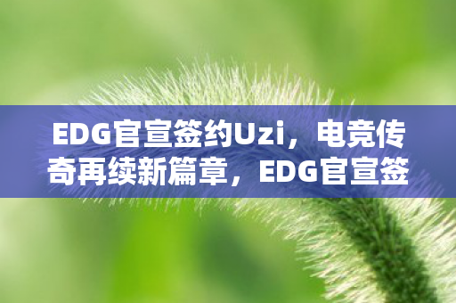 EDG官宣签约Uzi图片