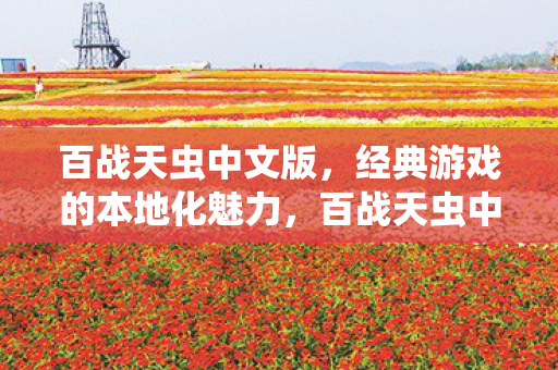 经典游戏的本地化魅力图片