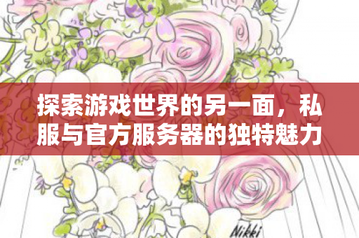 私服与官方服务器的独特魅力图片