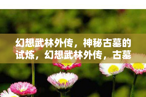 古墓试炼的神秘之旅图片