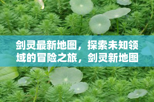 探索未知领域的冒险之旅图片