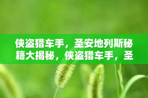 圣安地列斯秘籍大揭秘图片