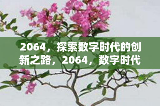 探索数字时代的创新之路图片