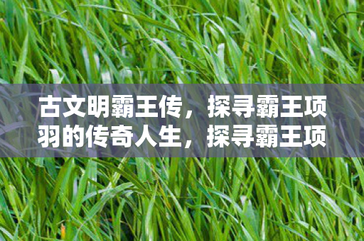 探寻霸王项羽的传奇人生图片
