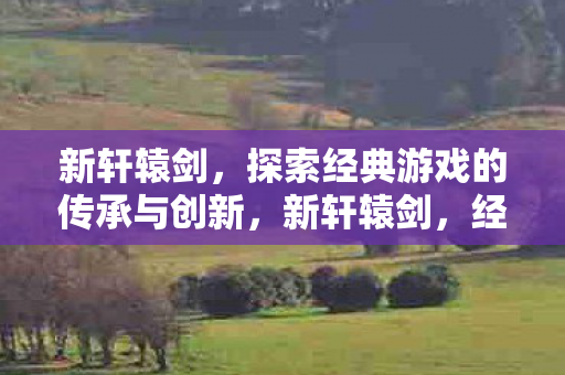 探索经典游戏的传承与创新图片