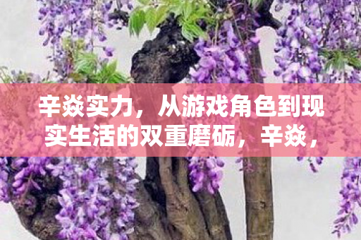 从游戏角色到现实生活的双重磨砺图片
