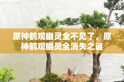 原神鹤观幽灵全消失之谜图片