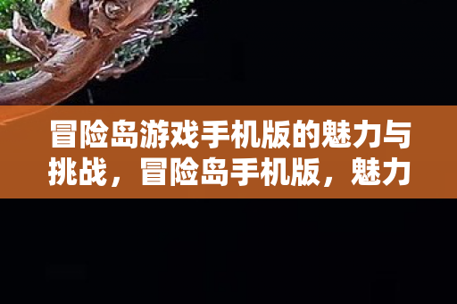 冒险岛游戏手机版的魅力与挑战图片