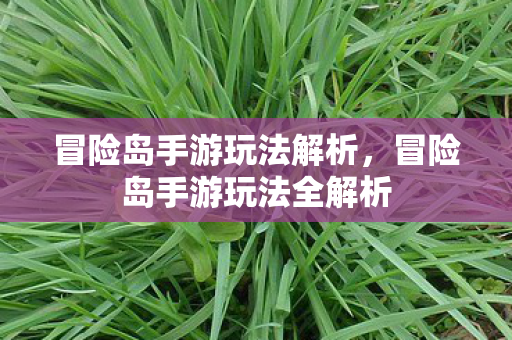 冒险岛手游玩法全解析图片