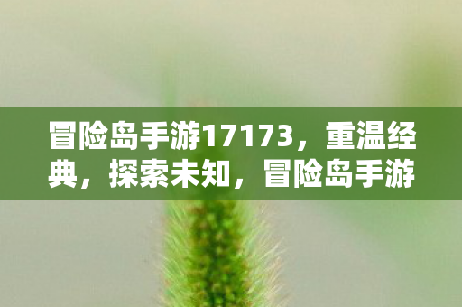 冒险岛手游17173图片