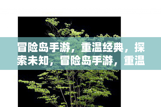 探索未知之旅图片