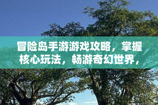 冒险岛手游游戏攻略图片