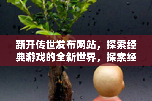 探索经典游戏的全新世界图片