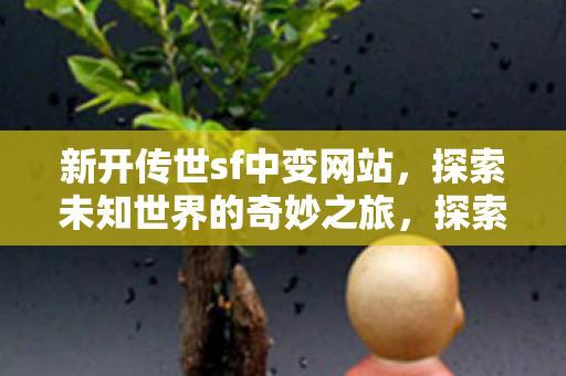 探索未知世界的奇妙之旅图片