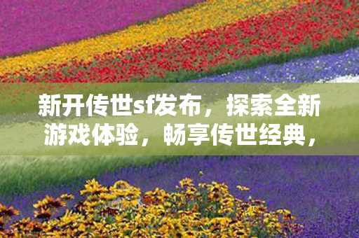 体验全新传世sf发布图片