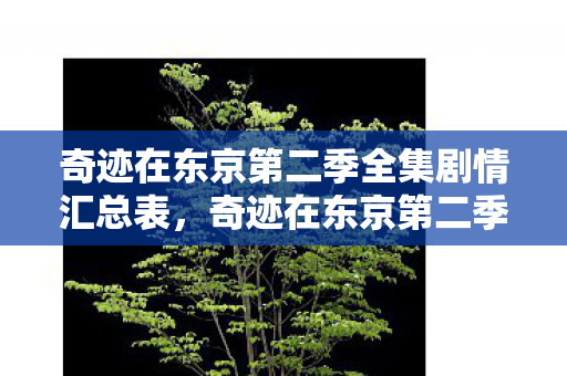 奇迹在东京第二季全集剧情汇总表图片