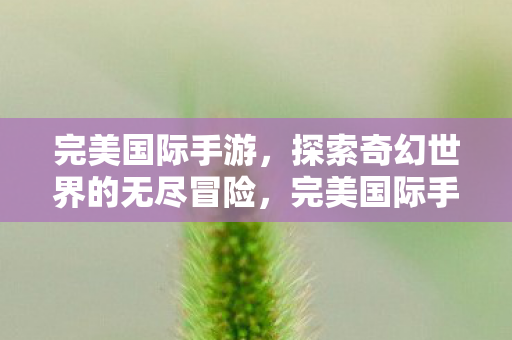 探索奇幻世界的无尽冒险图片