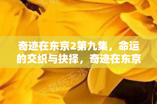 奇迹在东京2第九集图片