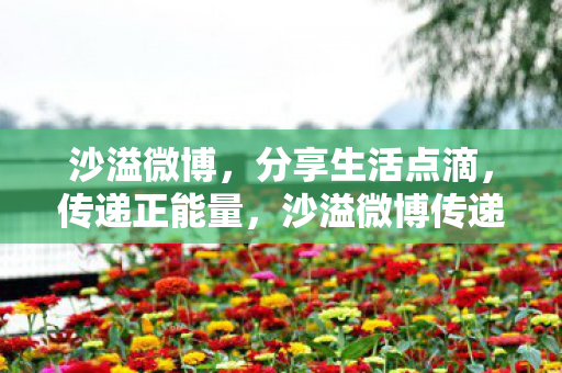 沙溢微博传递正能量图片